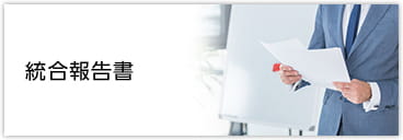統合報告書